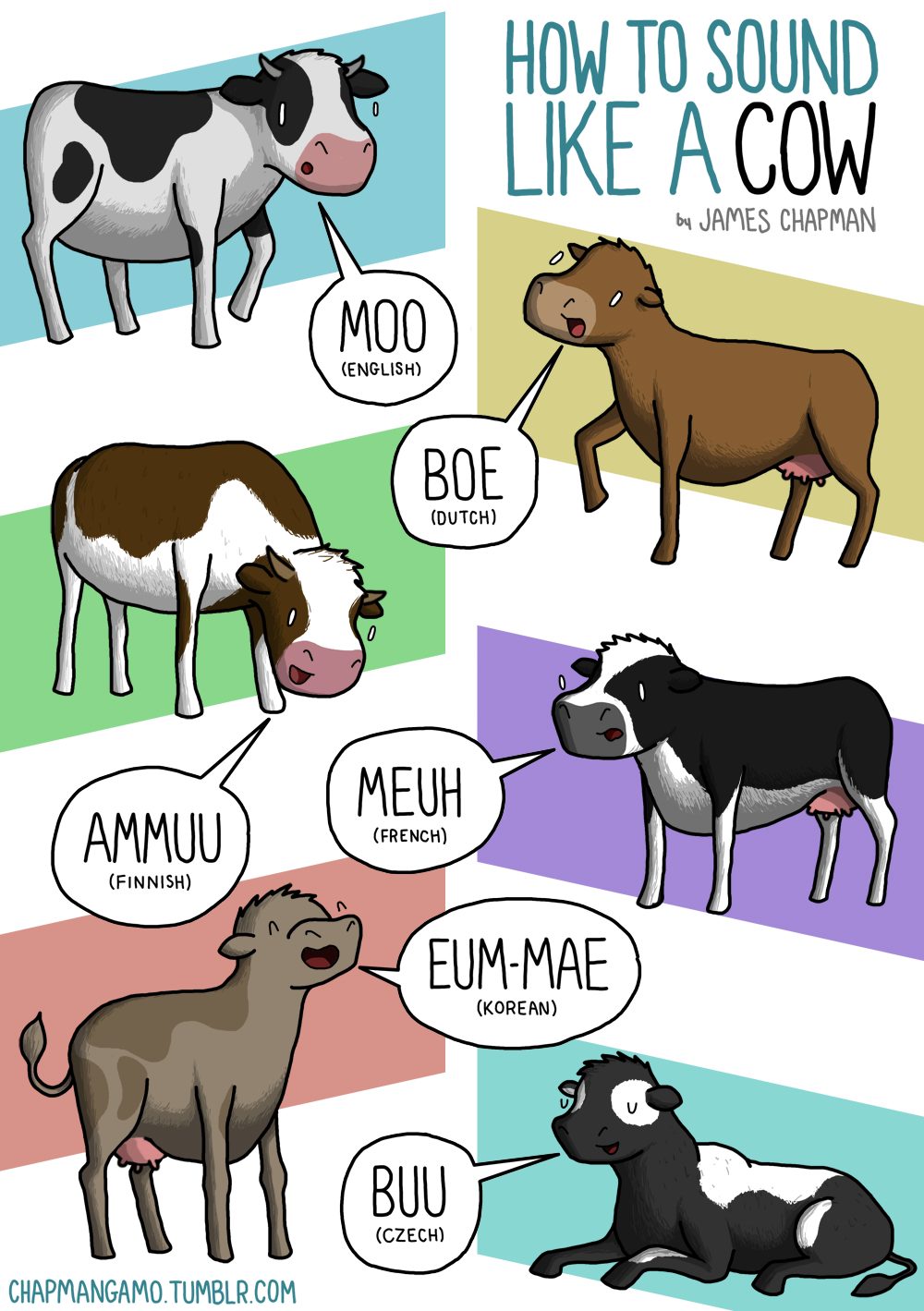 Come fa la mucca
