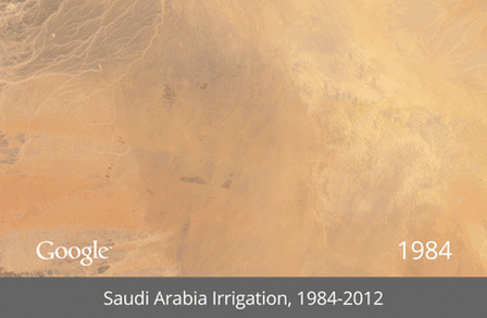 Saudi Arabia Irrigation-thumb-650x425-120984